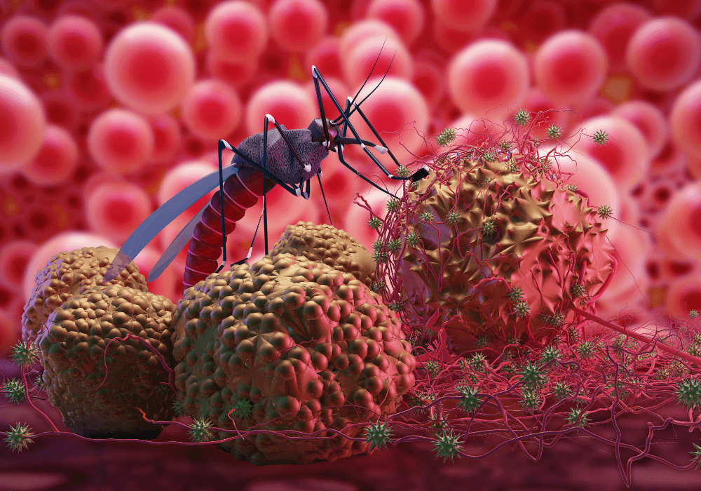 Malaria Research